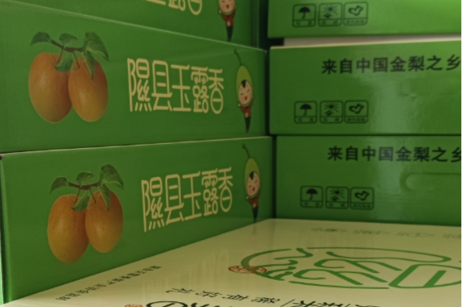 微信截图_20250412163756.png